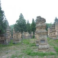 Forêts de stupas